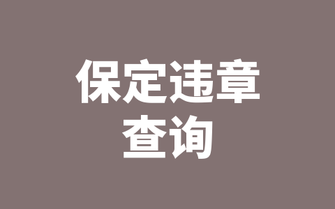 保定违章查询