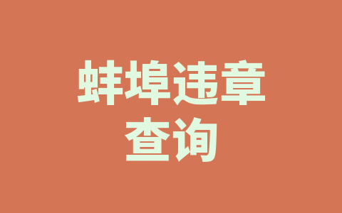 蚌埠违章查询