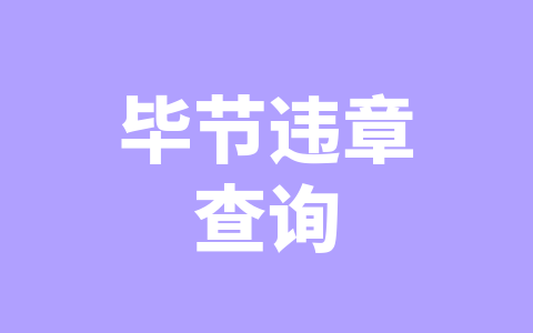 毕节违章查询