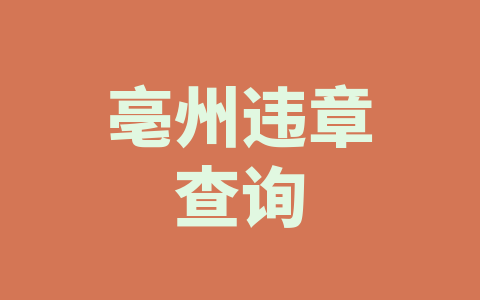 亳州违章查询