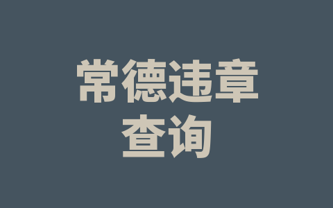 常德违章查询