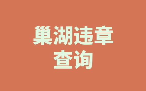 巢湖违章查询