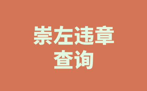 崇左违章查询