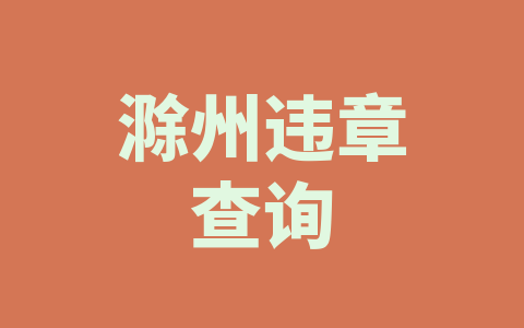 滁州违章查询