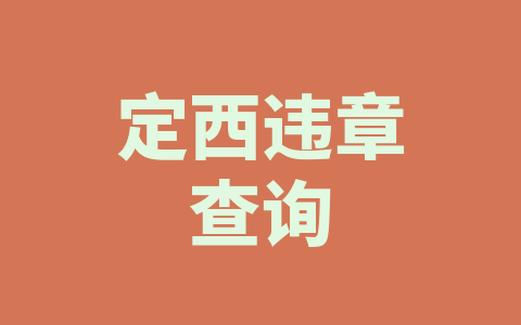 定西违章查询