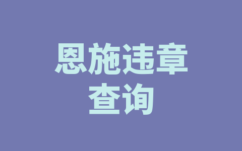 恩施违章查询