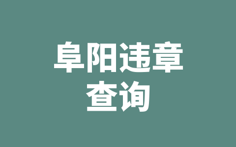 阜阳违章查询