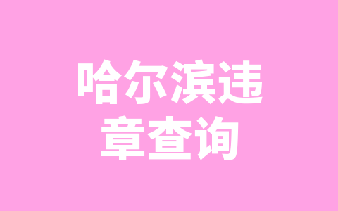 哈尔滨违章查询