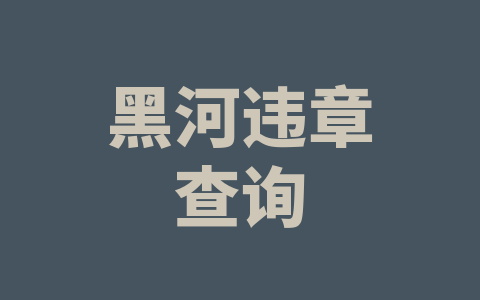黑河违章查询