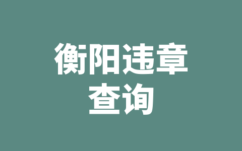 衡阳违章查询