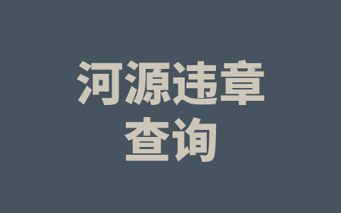 河源违章查询