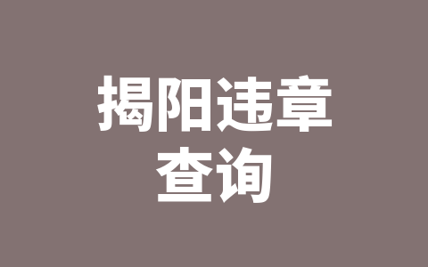 揭阳违章查询