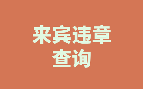 来宾违章查询