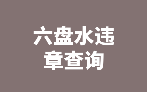 六盘水违章查询