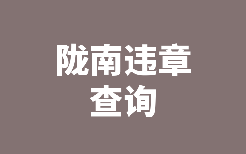 陇南违章查询