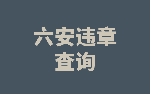 六安违章查询