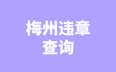 梅州违章查询
