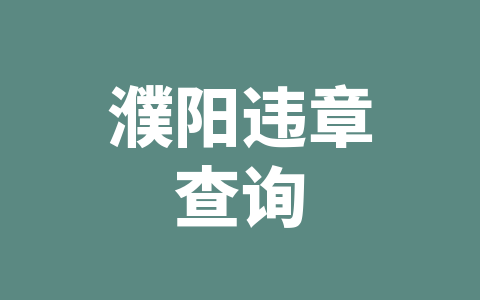 濮阳违章查询