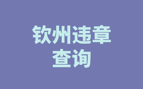 钦州违章查询