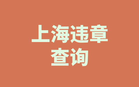 上海违章查询