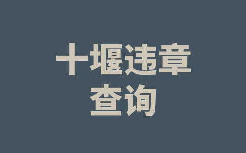 十堰违章查询