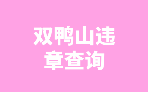 双鸭山违章查询
