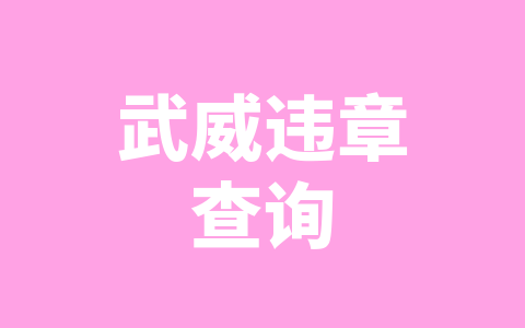 武威违章查询