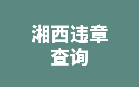 湘西违章查询
