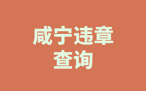 咸宁违章查询
