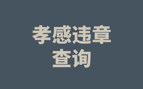 孝感违章查询