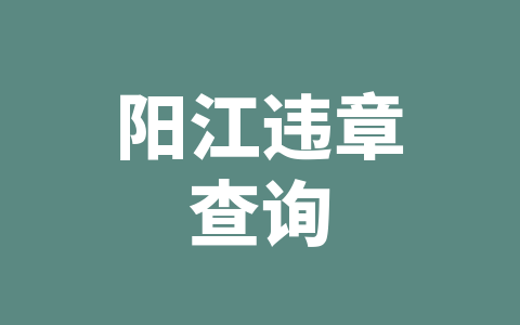 阳江违章查询