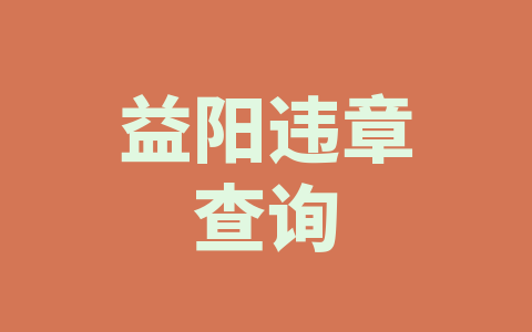 益阳违章查询