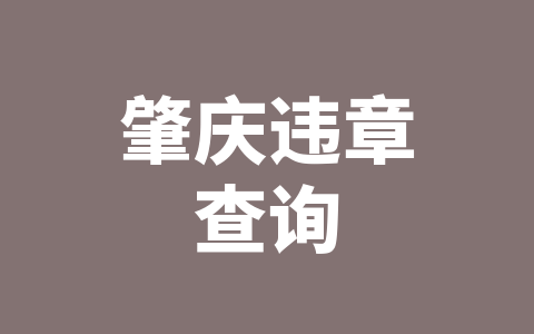 肇庆违章查询