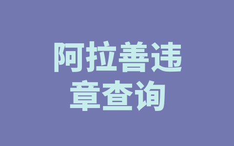 阿拉善违章查询
