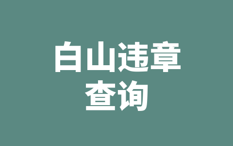 白山违章查询