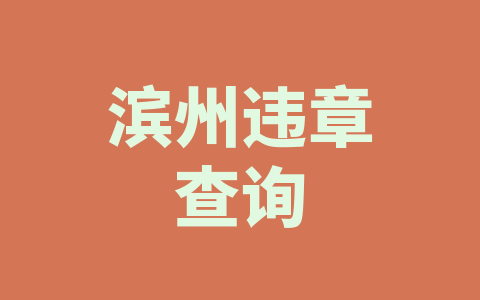 滨州违章查询