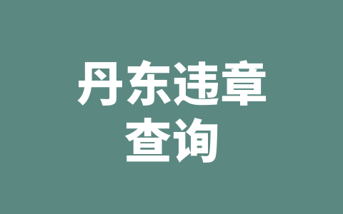 丹东违章查询