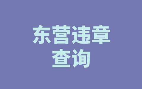 东营违章查询