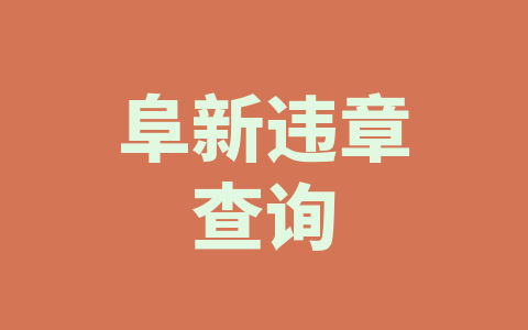 阜新违章查询