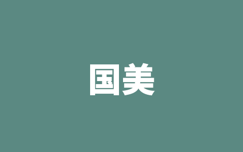 国美