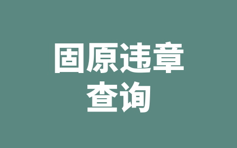 固原违章查询