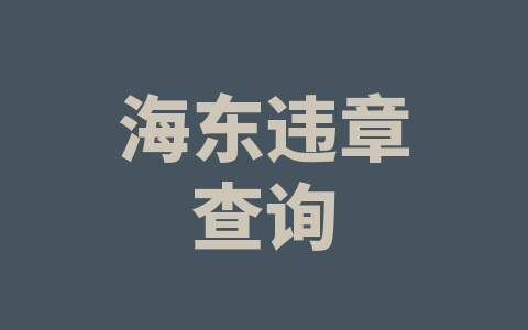 海东违章查询