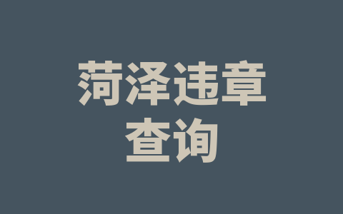 菏泽违章查询