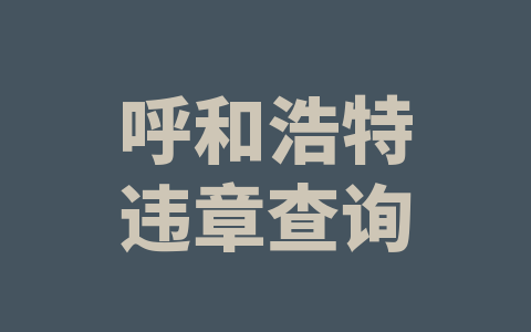 呼和浩特违章查询