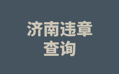 济南违章查询