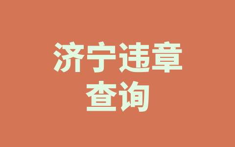 济宁违章查询