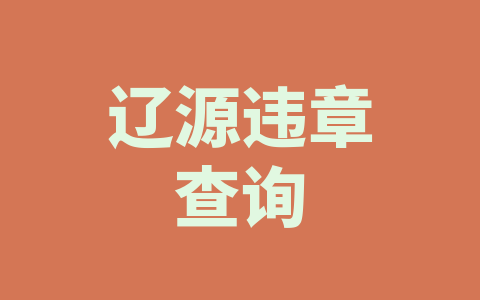 辽源违章查询