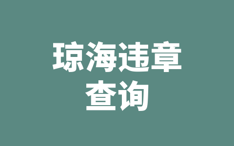 琼海违章查询