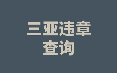 三亚违章查询