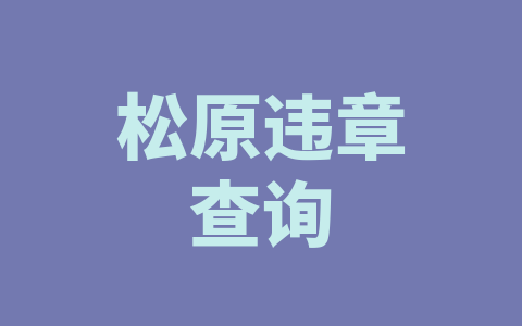 松原违章查询